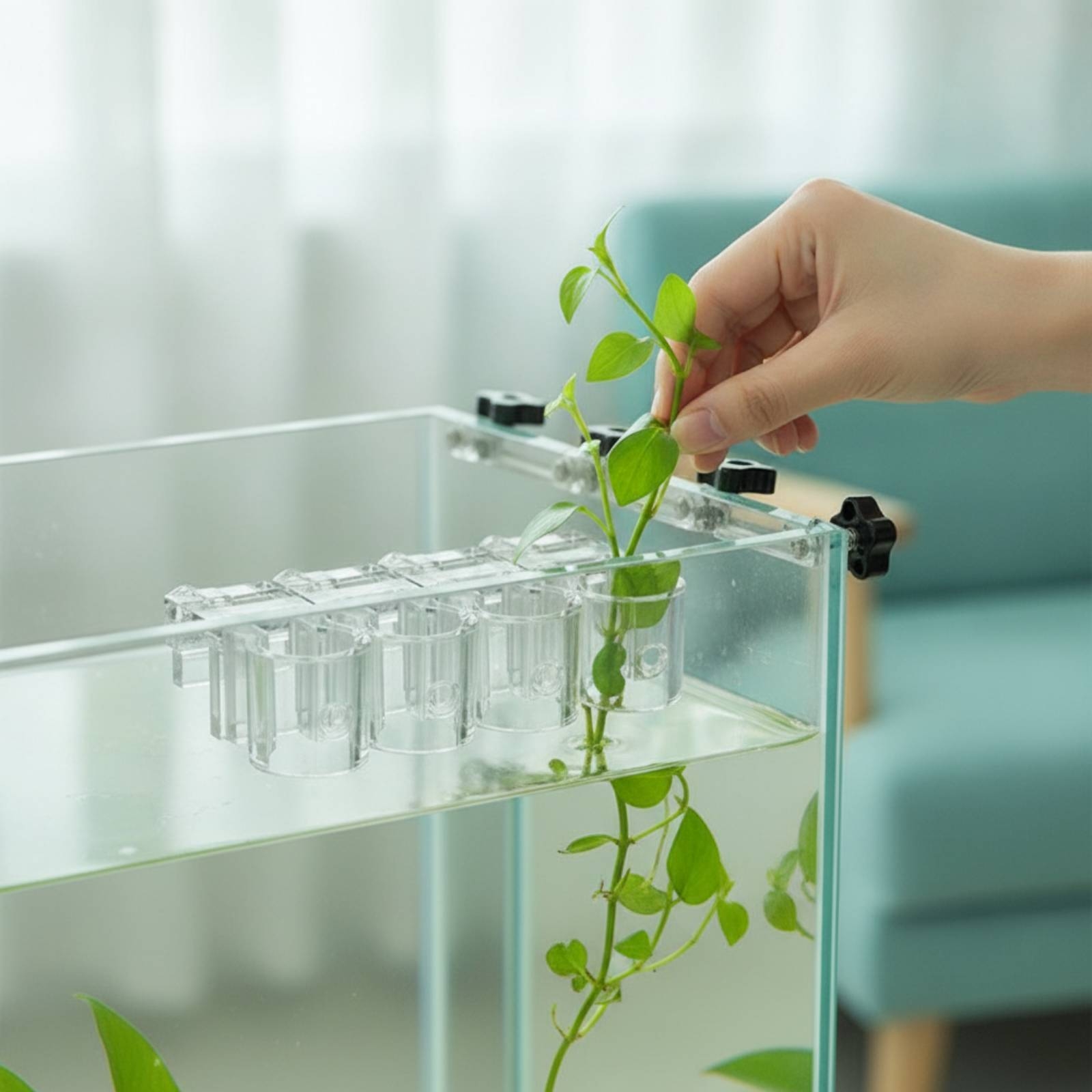 Aquarium Planted Plants - 6 Stück Aquarium-Pflanzhalter, transparente Hydrokultur-Stützklammern mit