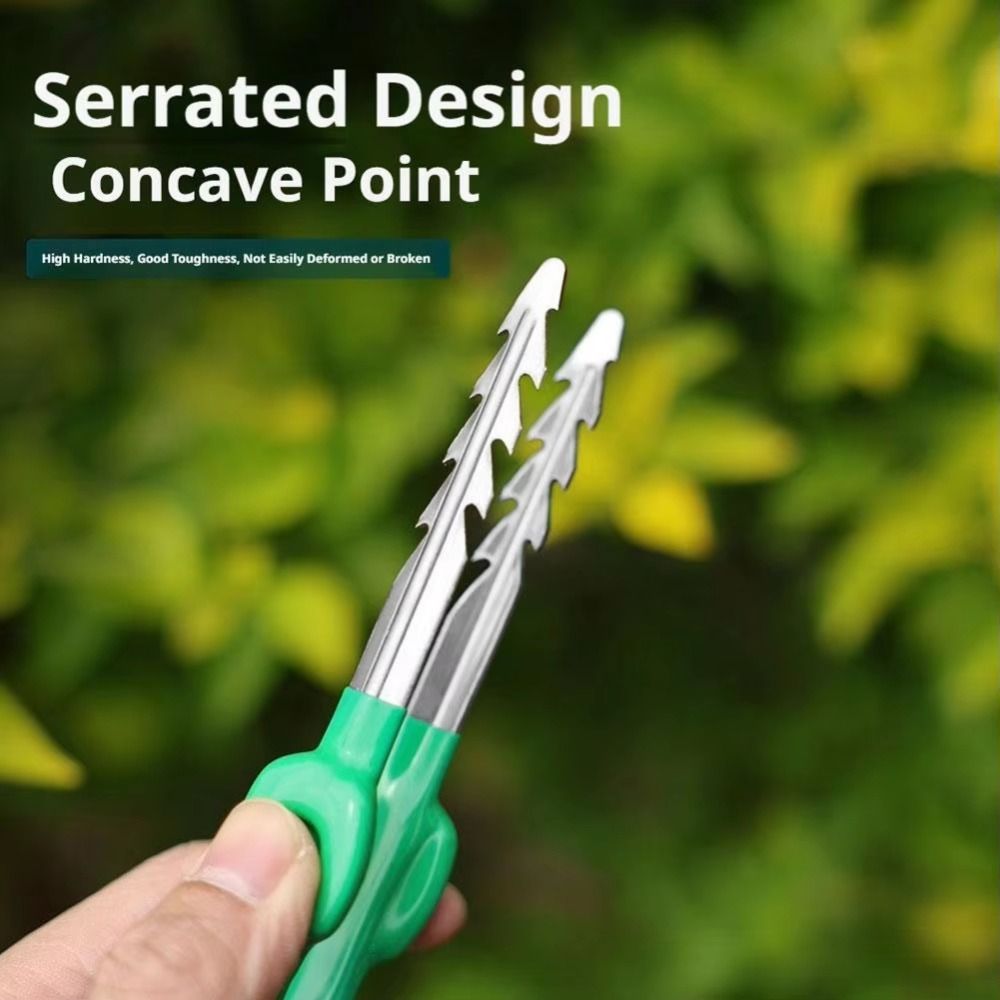 Planted Clip Tweezers - Stainless Steel Gardening Tweezers Solid Stainless