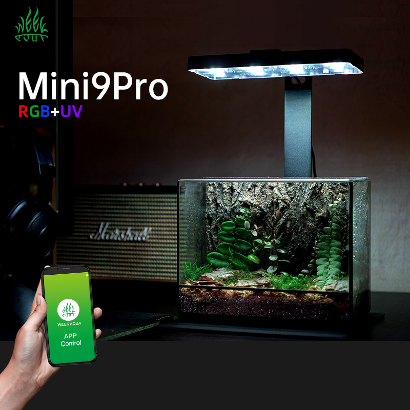 Aquarium Plants For Sale - Bestseller Mini9pro Nano Terrarium Licht USB