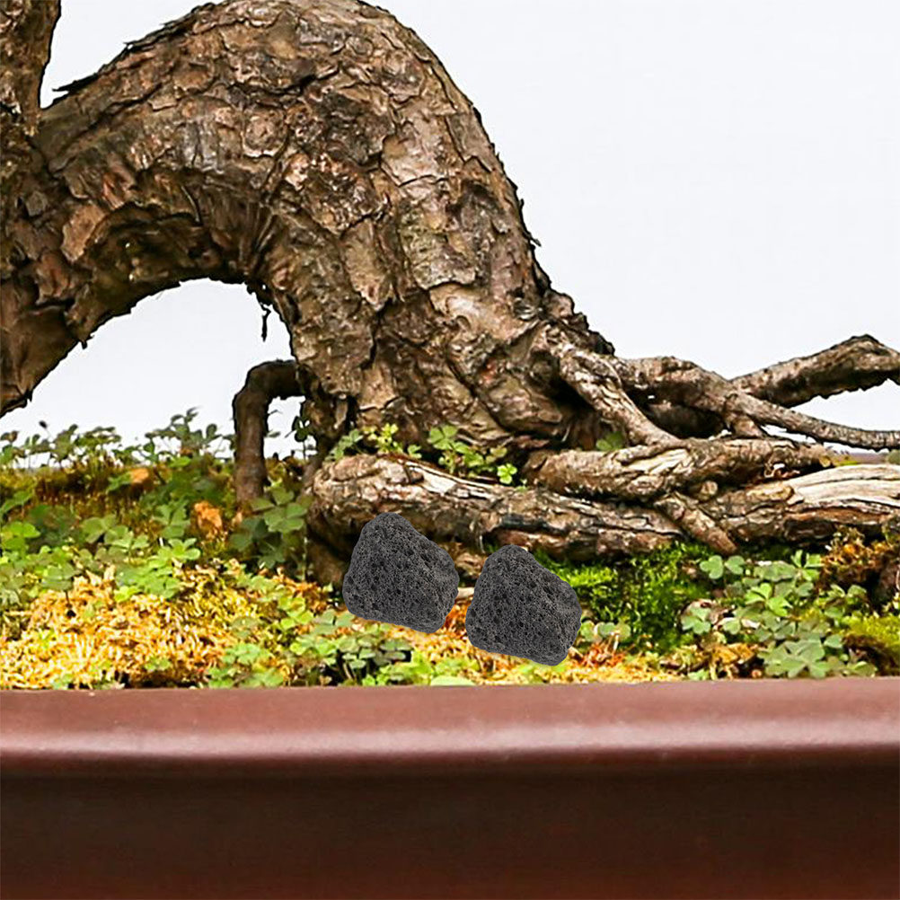 Aquarium Planted Tank Filter - Aquarium-Vulkansteine Natürliche Kleine Steine für Aquarien