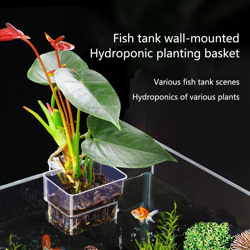 Aquarium Planted Setup - Aquarium Hydroponik-Pflanzbecher 2 5 10 Stück