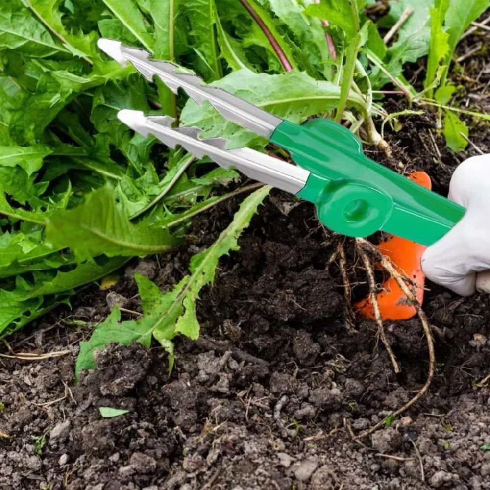 Planted Clip Tweezers - Edelstahl-Gartenpinzette Multifunktionale Präzisionspinzette mit Ausgerichteter Spitze