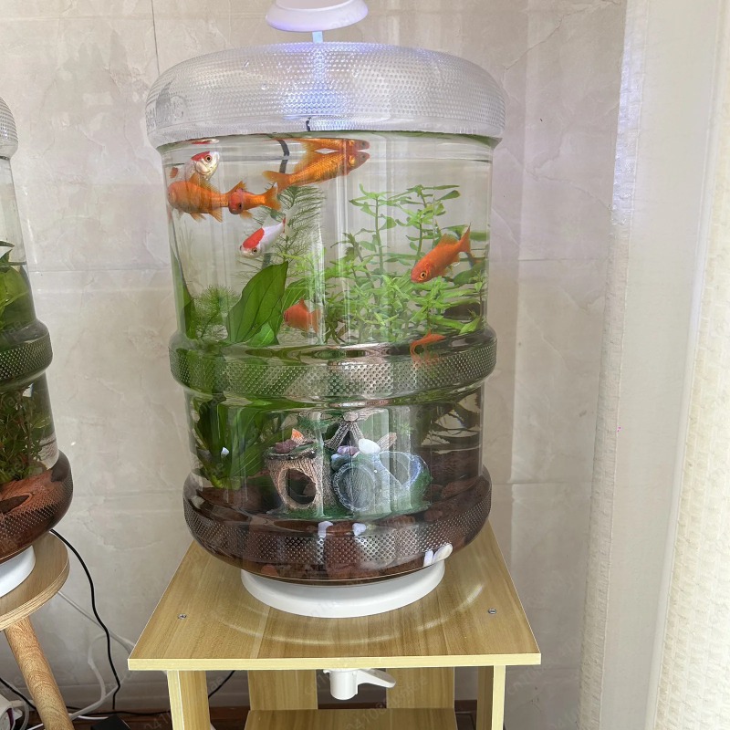 Aquarium Planted Setup - Sofortiges Setup-Aquarium für Zuhause, 30 x