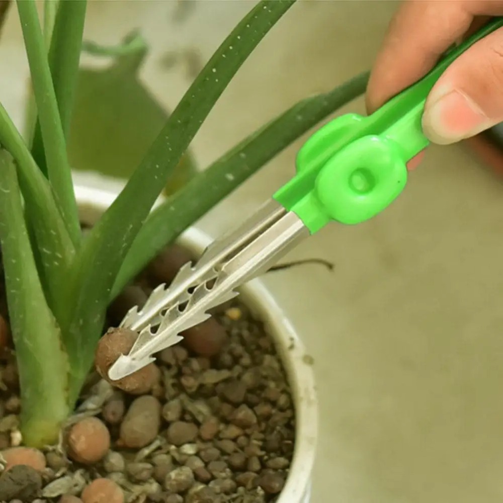 Outdoor Garten Unkraut Clip Ga – Planted Clip Tweezers Bewertung und Preis