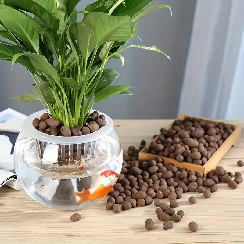 Leichte und atmungsaktive Terr – Aquarium Planted Plants Bewertung und Preis