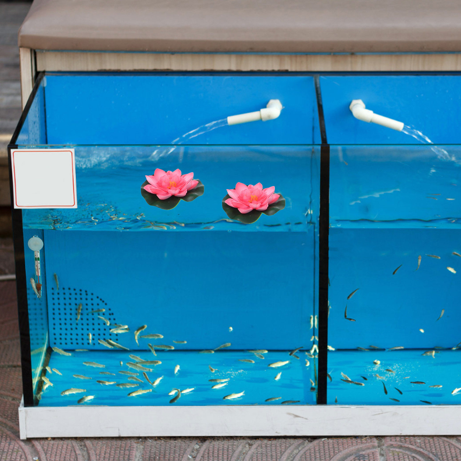 12 Stück Künstliche Schwimmend – Aquarium Planted Plants Bewertung und Preis