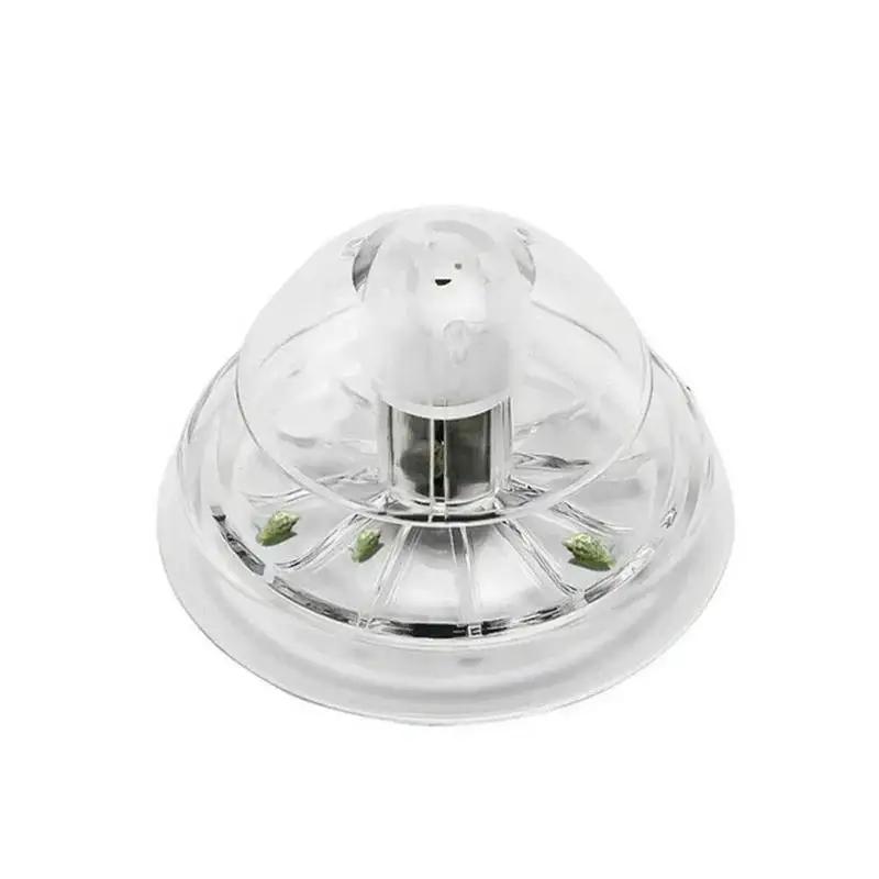 2026 Neu 6/8CM Klare Plastik-S – Aquarium Planted Fish Bewertung und Preis