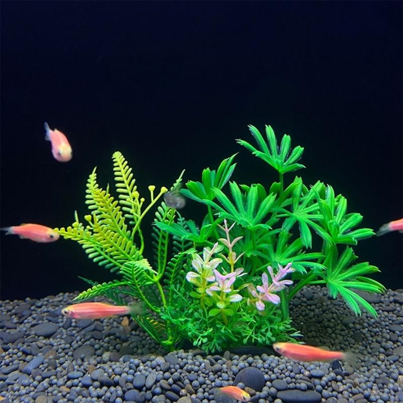 Künstliche Aquarium-Dekoration – Aquarium Plants For Sale Bewertung und Preis