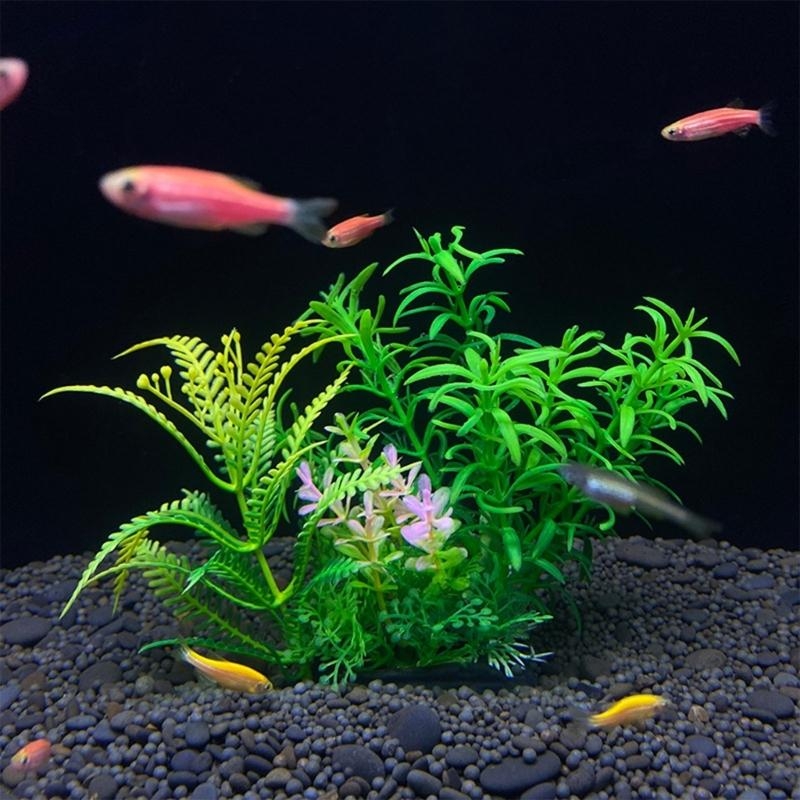 Künstliche Aquarium-Dekoration – Aquarium Plants For Sale Bewertung und Preis