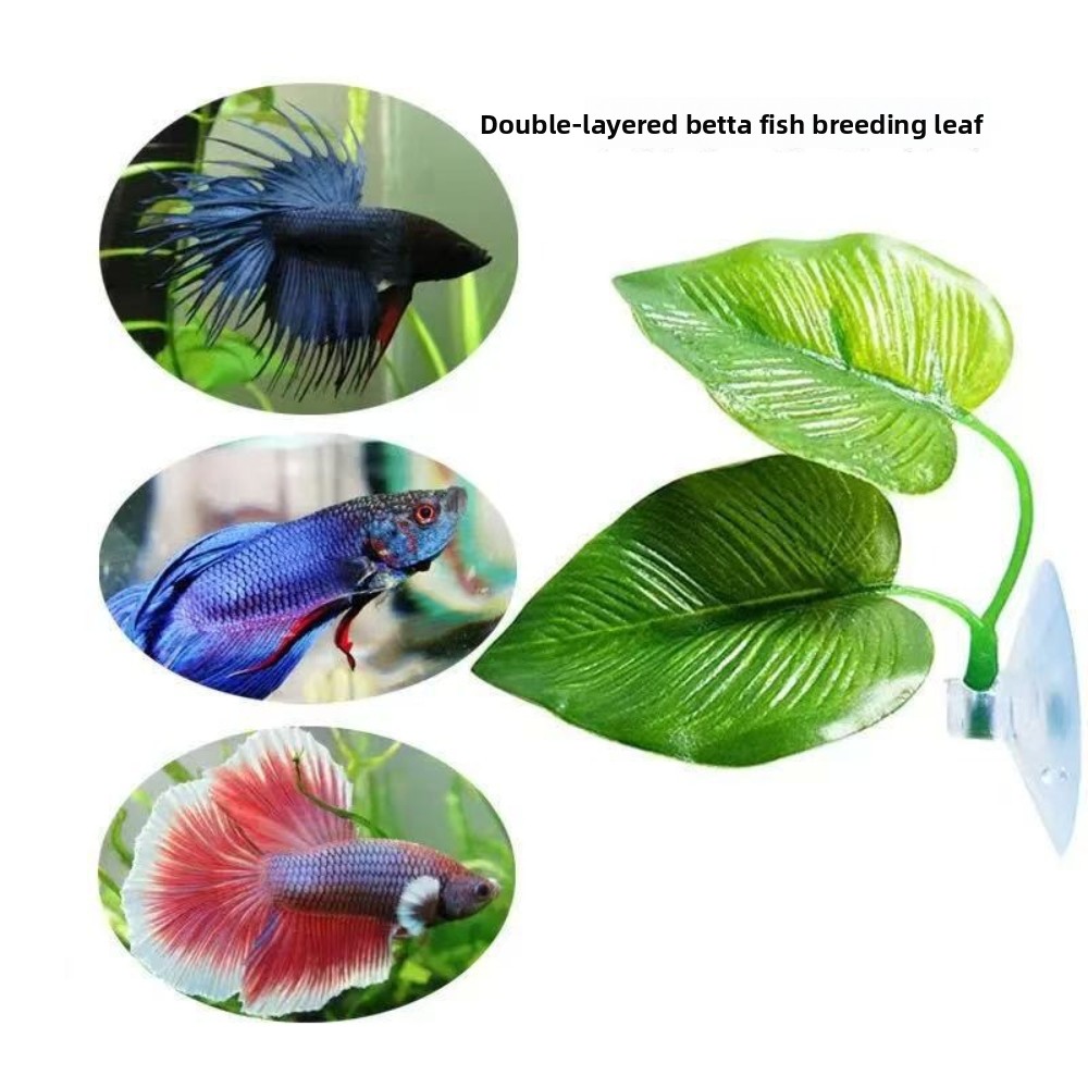 1/3/5/10 Betta Aquarium Künstl – Aquarium Planted Setup Bewertung und Preis