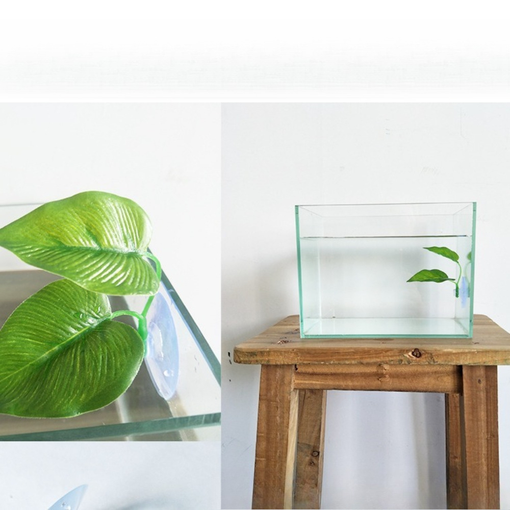 1/3/5/10 Betta Aquarium Künstl – Aquarium Planted Setup Bewertung und Preis