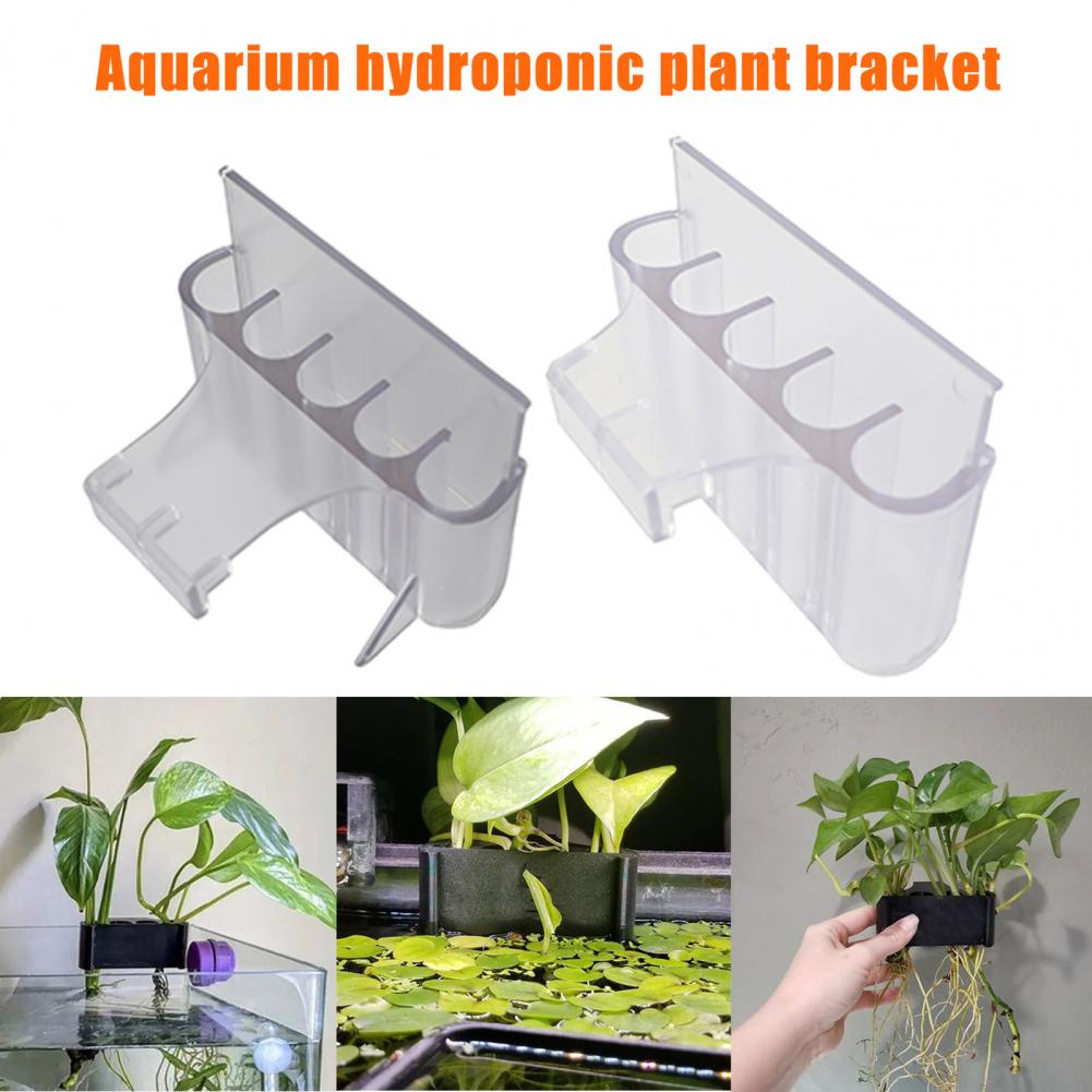 4,5/6,5 cm Aquarium Pflanzenha – Aquarium Planted Fish Bewertung und Preis