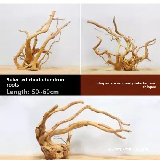 Natürliche Treibholzäste für d – Aquarium Planted Fish Bewertung und Preis