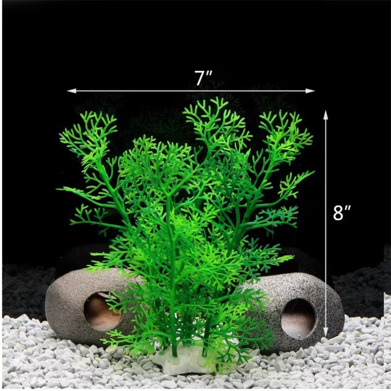 10 Stück Bestseller Neuerschei – Aquarium Plants For Sale Bewertung und Preis