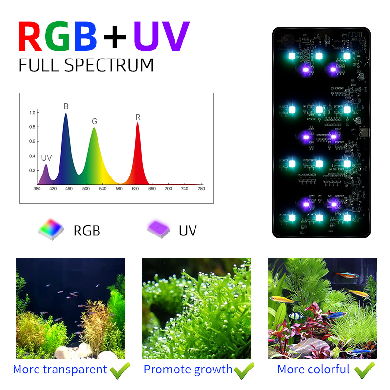 Bestseller Mini9pro Nano Terra – Aquarium Plants For Sale Bewertung und Preis
