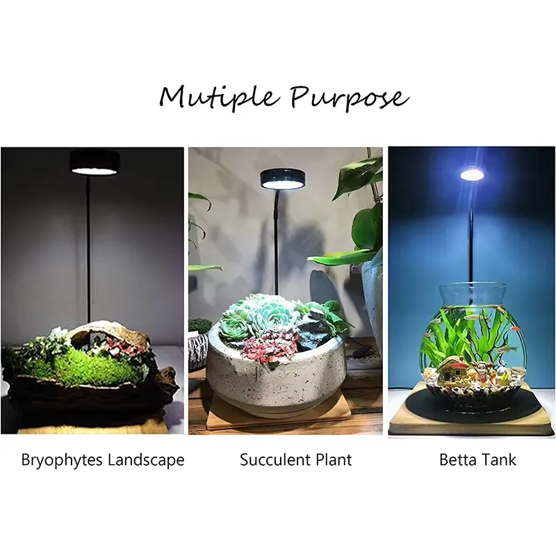 Vollspektrum-LED-Licht mit Leu – Aquarium Plant Light Spectrum Bewertung und Preis