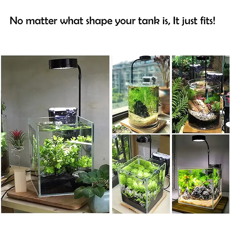 Vollspektrum-LED-Licht mit Leu – Aquarium Plant Light Spectrum Bewertung und Preis