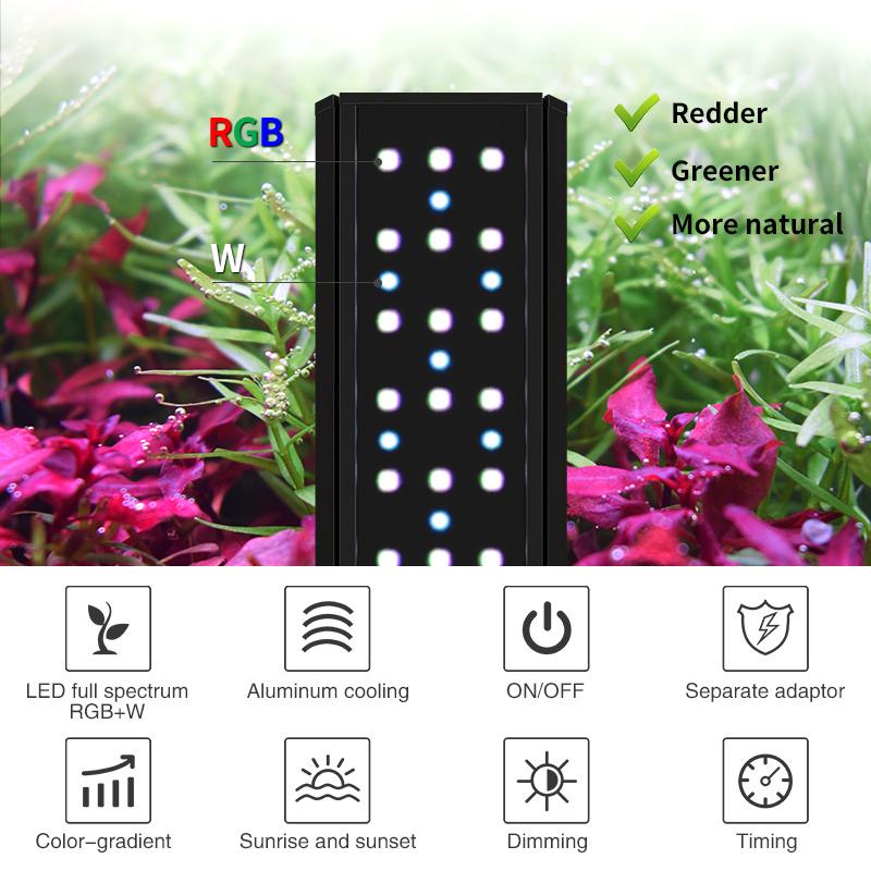 ZXY Heißer Verkauf WEEKAQUA V4 – Aquarium Plants For Sale Bewertung und Preis