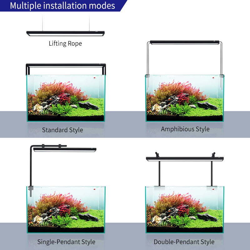 ZXY Heißer Verkauf WEEKAQUA V4 – Aquarium Plants For Sale Bewertung und Preis