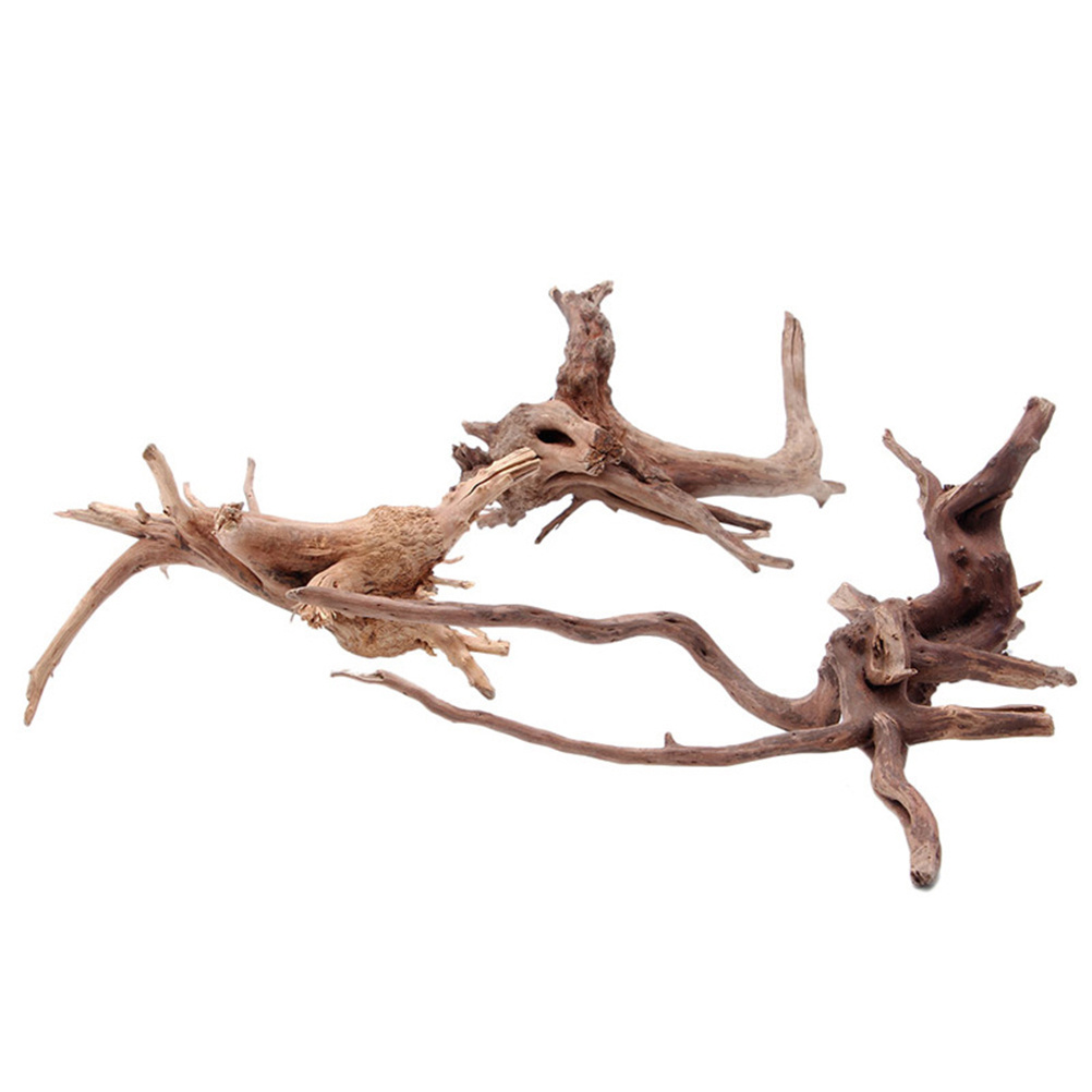 4 Stück natürliche Treibholz-A – Aquarium Plants For Sale Bewertung und Preis