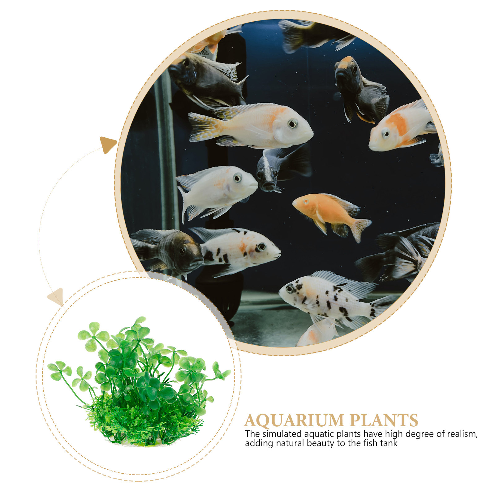 Hochwertige realistische künst – Aquarium Planted Setup Bewertung und Preis