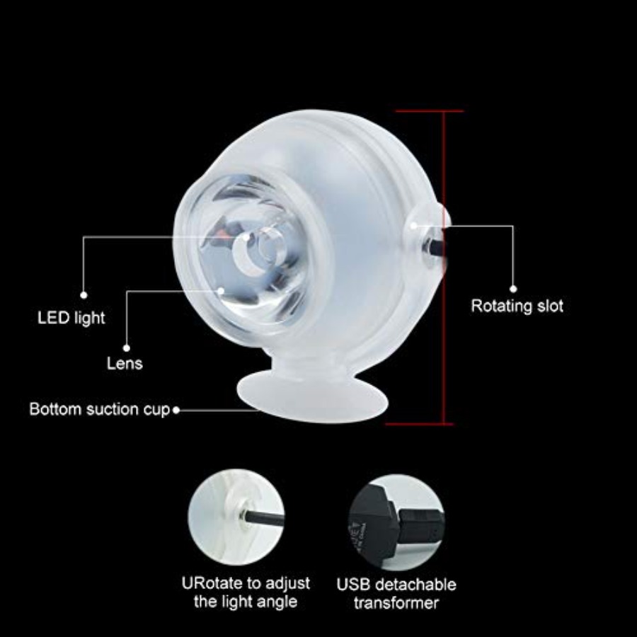LED-Aquariumbeleuchtung für 12 – Planted Aquarium Cycling Bewertung und Preis