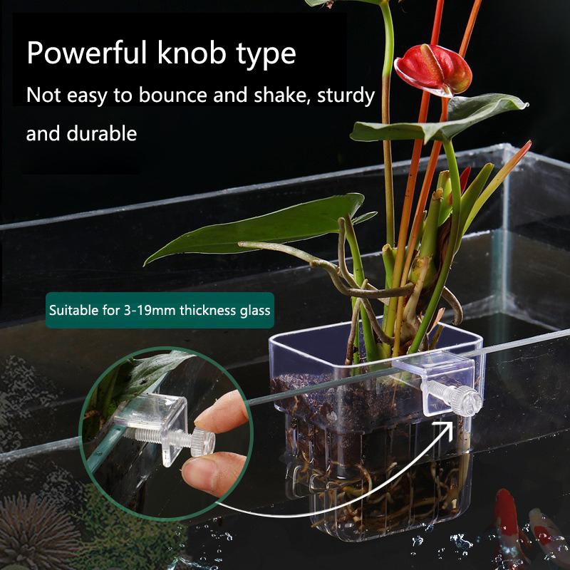 Aquarium Hydroponik-Pflanzbech – Aquarium Planted Setup Bewertung und Preis