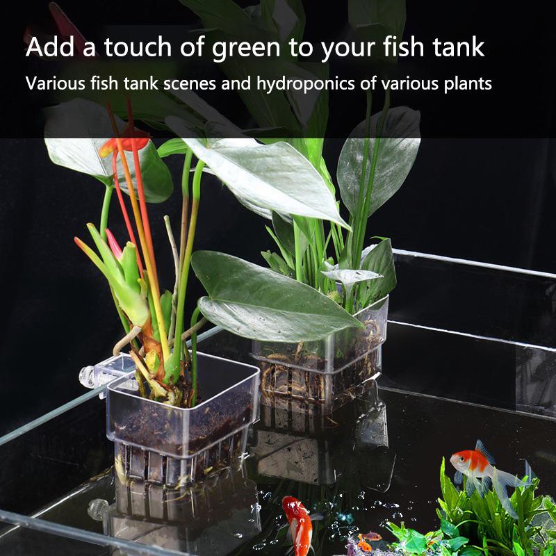 Aquarium Hydroponik-Pflanzbech – Aquarium Planted Setup Bewertung und Preis