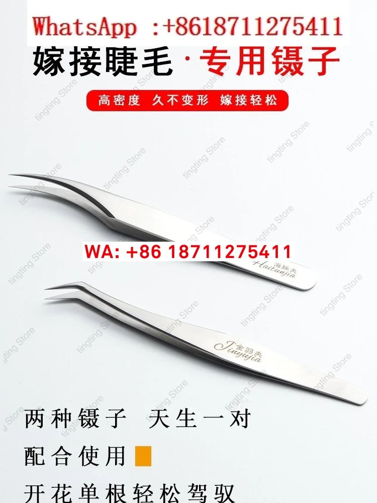 Edelstahl Kamelie Pflanzung Wi – Planted Clip Tweezers Bewertung und Preis
