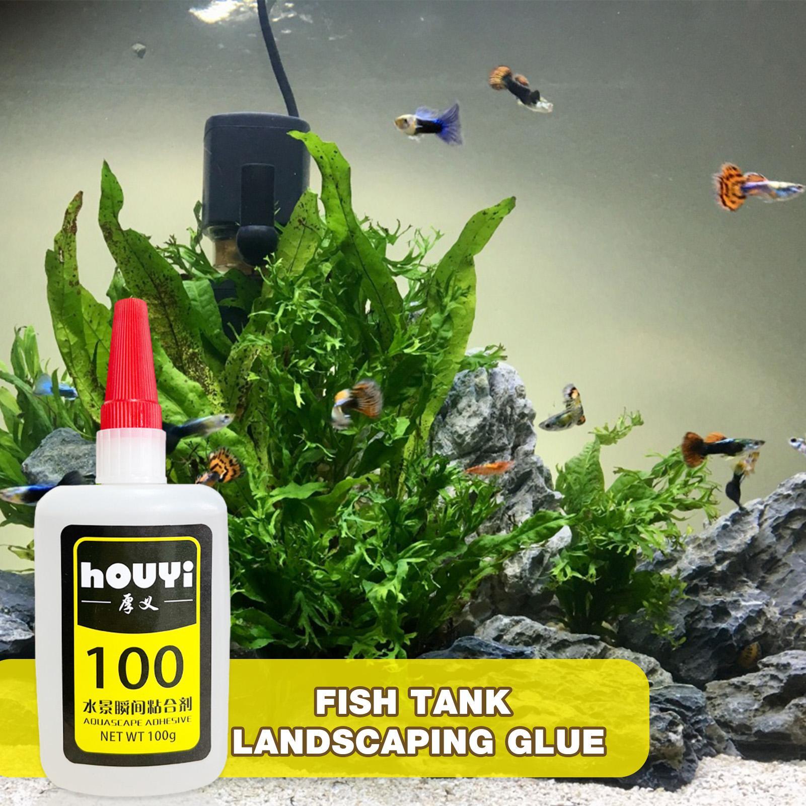 50/100 g klarer Sofortkleber,  – Aquarium Planted Plants Bewertung und Preis