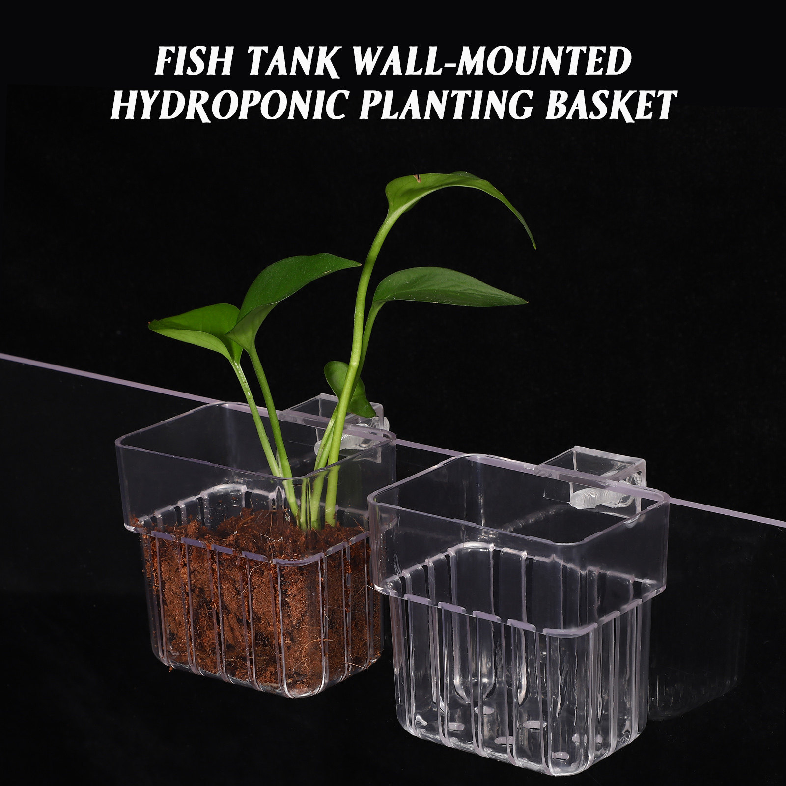 4 Stück Aquarium-Pflanzenhalte – Aquarium Planted Setup Bewertung und Preis