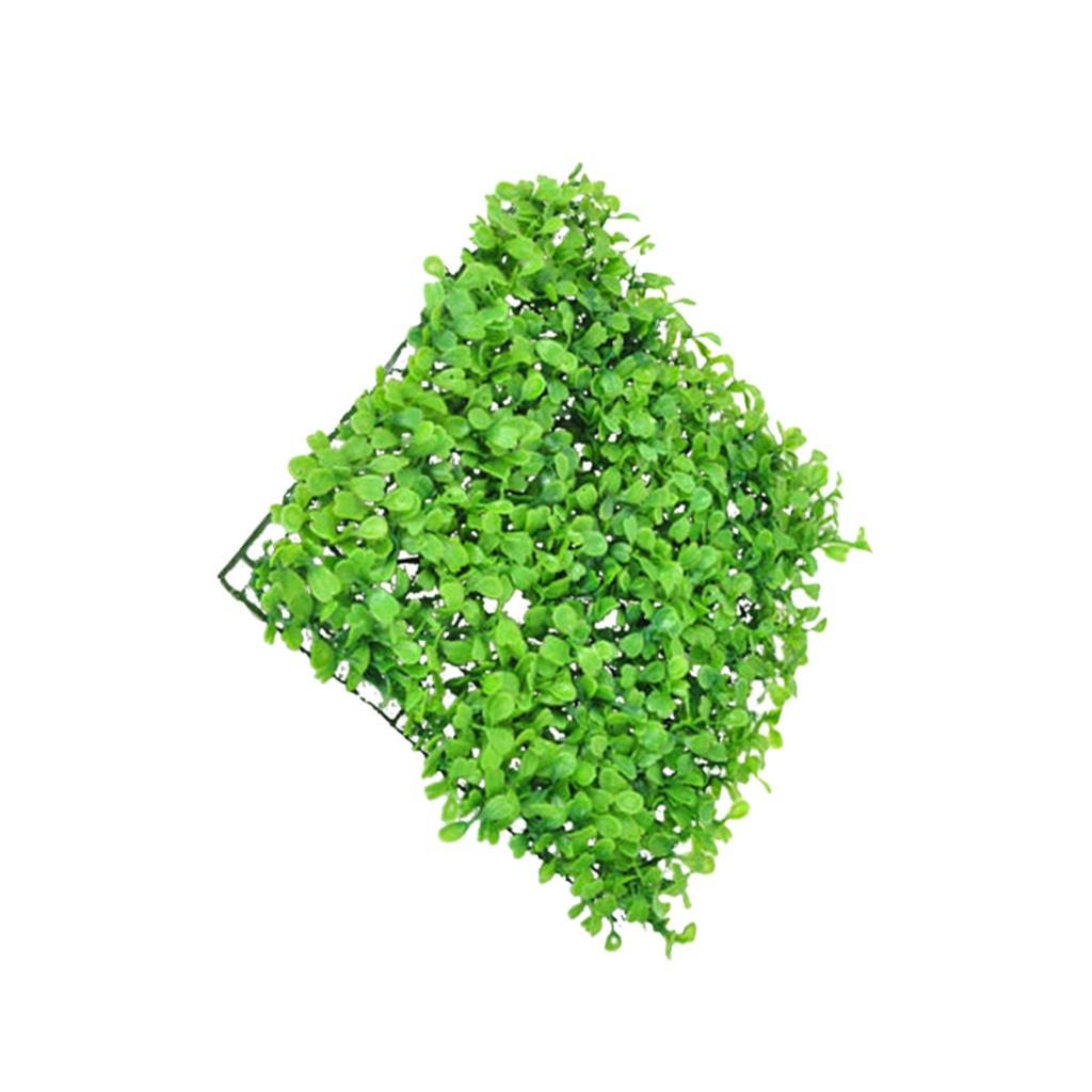 Kunstharz-Kunststoffpflanze Kü – Aquarium Planted Setup Bewertung und Preis