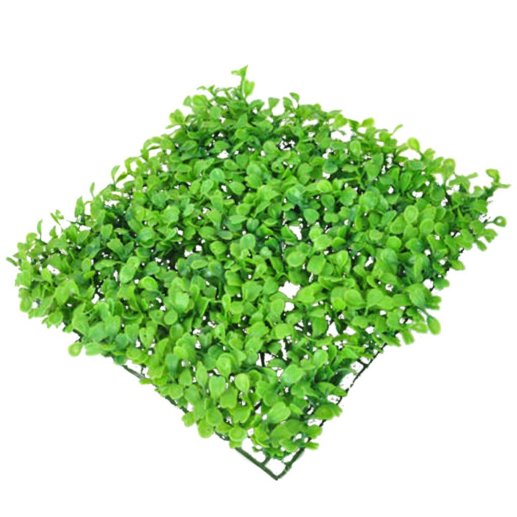 Kunstharz-Kunststoffpflanze Kü – Aquarium Planted Setup Bewertung und Preis