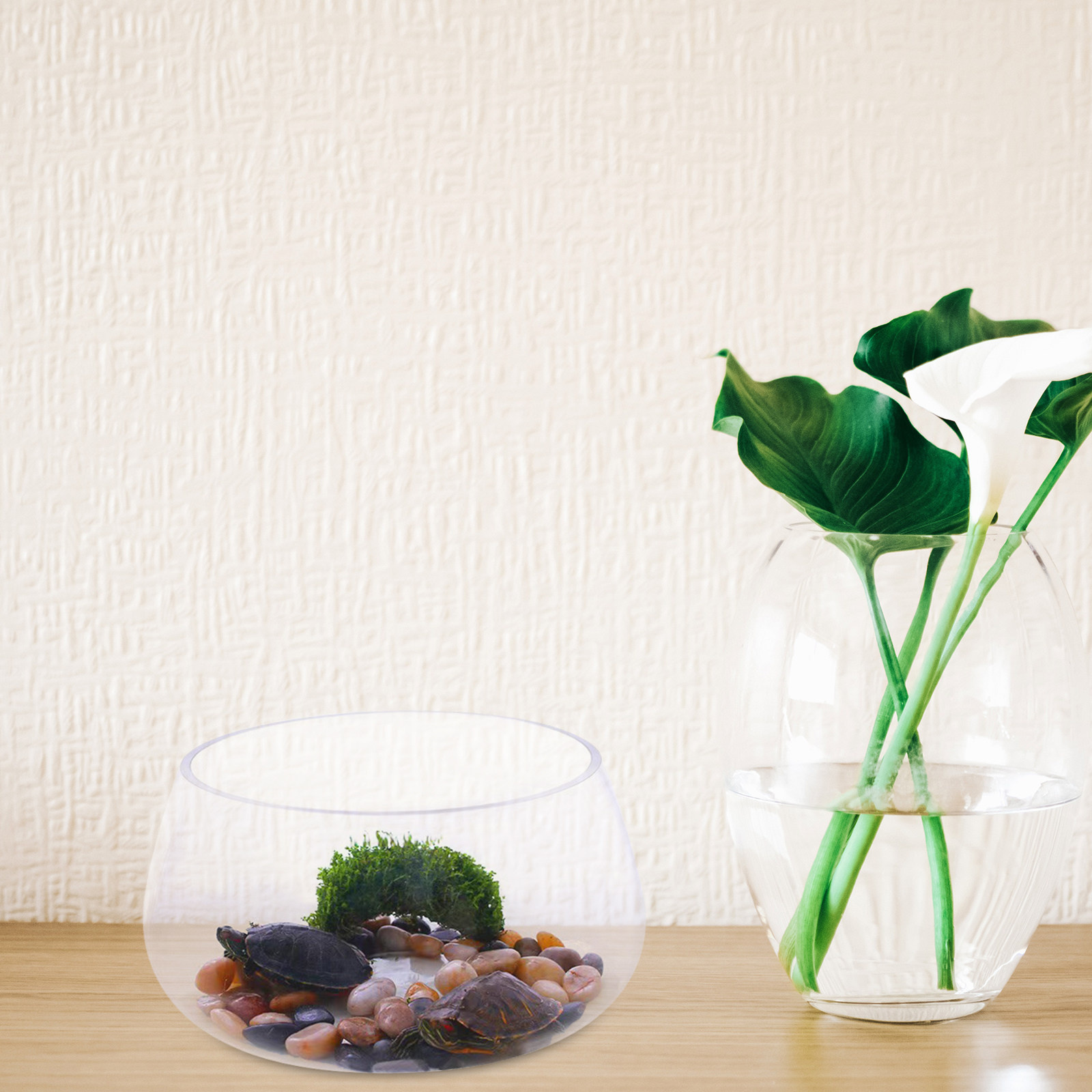 Rundes, klares Mini-Aquarium a – Aquarium Planted Shop Bewertung und Preis