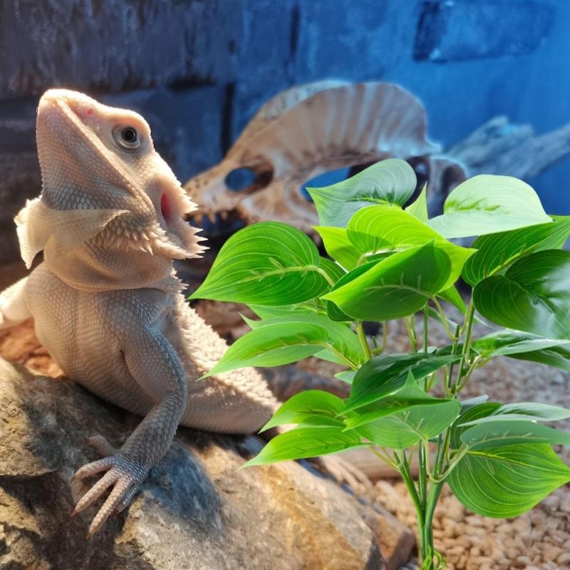 Künstliche hängende Pflanze Fi – Aquarium Planted Fish Bewertung und Preis