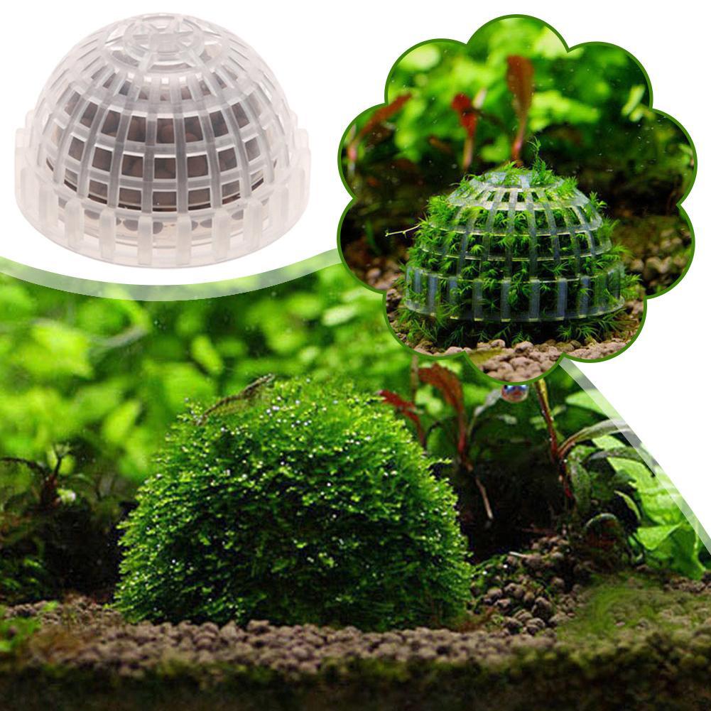 1/2/3/4/5 Stück Aquarium-Dekor – Aquarium Planted Tank Filter Bewertung und Preis