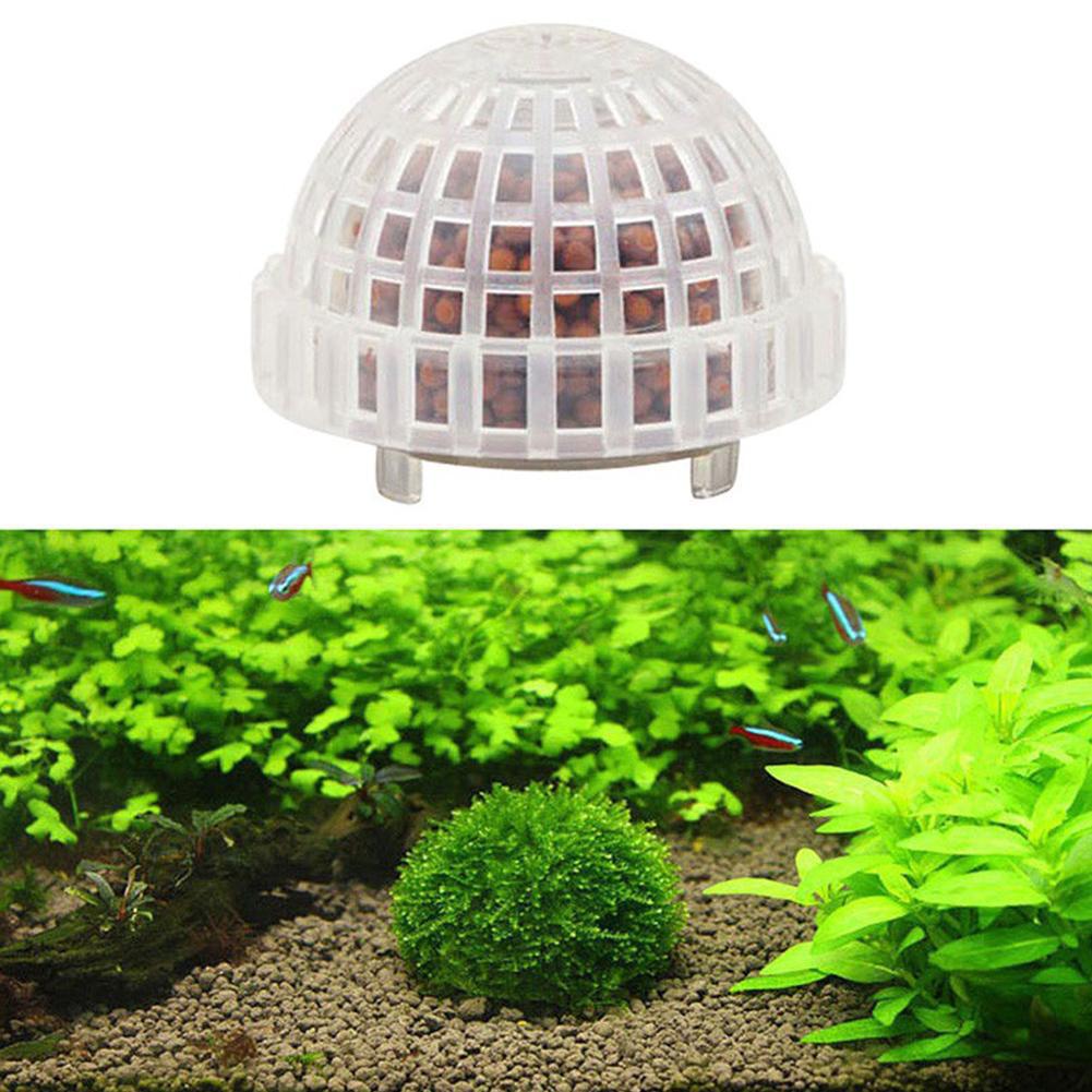 1/2/3/4/5 Stück Aquarium-Dekor – Aquarium Planted Tank Filter Bewertung und Preis