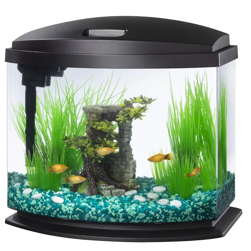 Maßgefertigtes Glas-Acryl-Aqua – Aquarium Planted Tank Filter Bewertung und Preis