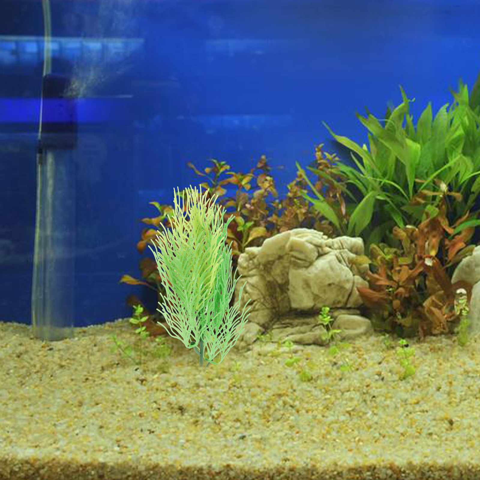 Simulierte Hornkraut-Aquarienp – Aquarium Planted Setup Bewertung und Preis