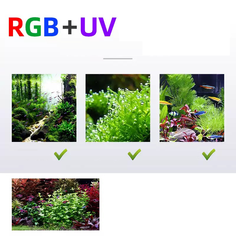 Led-beleuchtung 60 cm 80 cm 90 – Aquarium Plants For Sale Bewertung und Preis