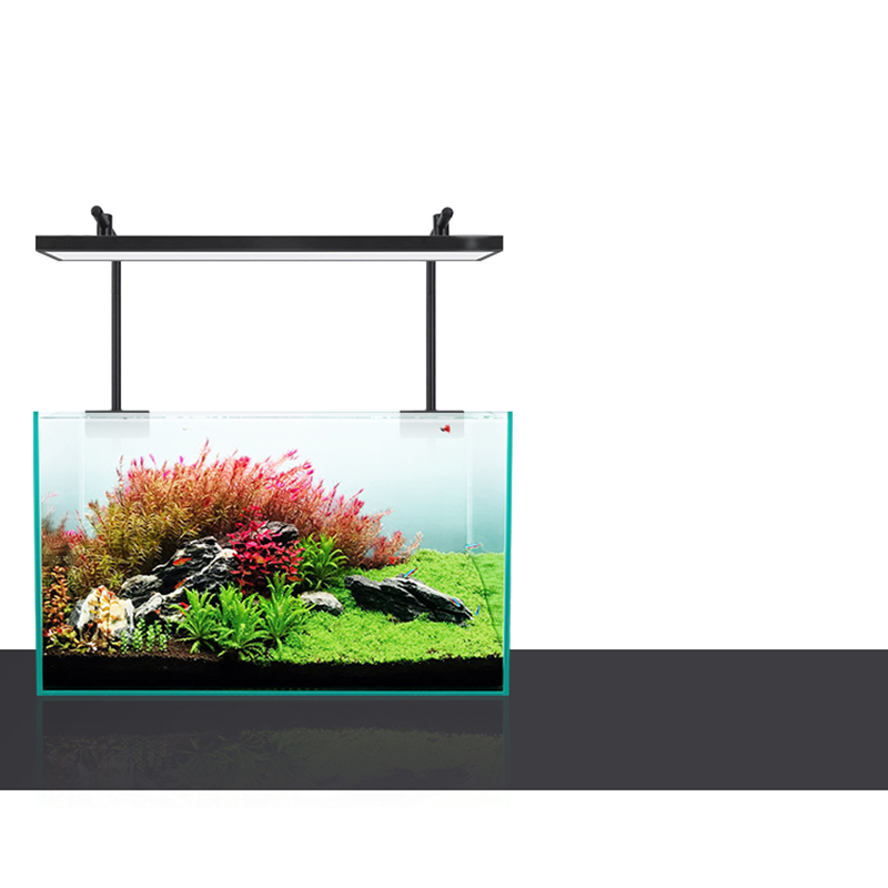Led-beleuchtung 60 cm 80 cm 90 – Aquarium Plants For Sale Bewertung und Preis