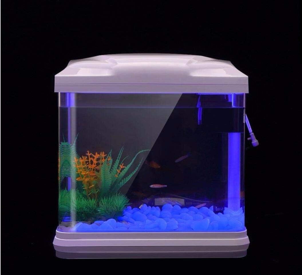 Aquarium-Felsen leuchten blaue – Aquarium Planted Plants Bewertung und Preis