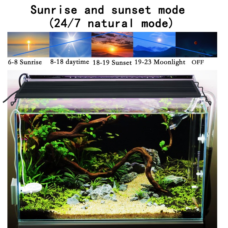 LED-Aquariumbeleuchtung Vollsp – Aquarium Plant Light Spectrum Bewertung und Preis