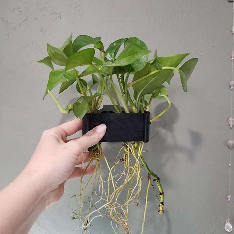 1 2 3 Stück Aquarium-Pflanzens – Aquarium Planted Setup Bewertung und Preis