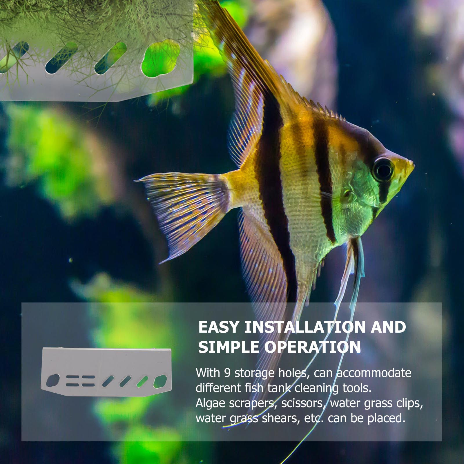 1 Stück Aquarium-Werkzeughalte – Aquarium Planted Fish Bewertung und Preis