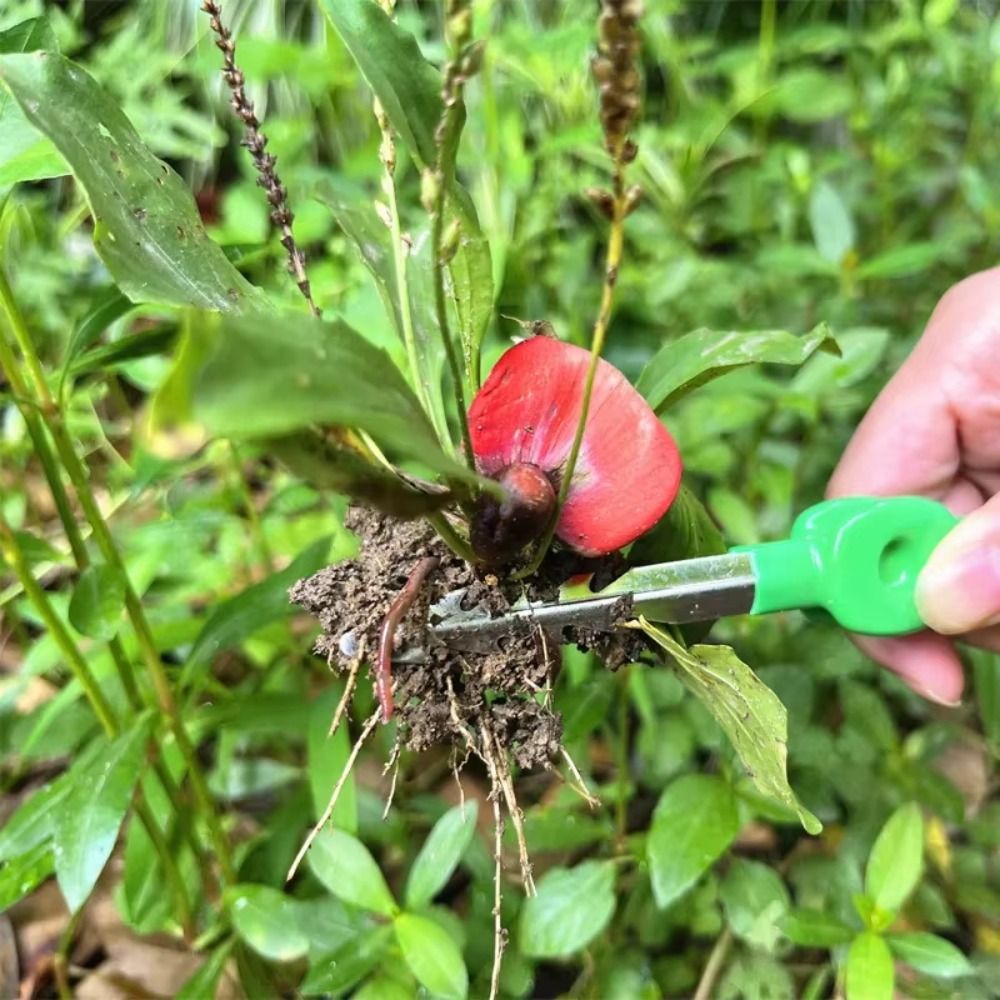 Edelstahl-Gartenpinzette Multi – Planted Clip Tweezers Bewertung und Preis