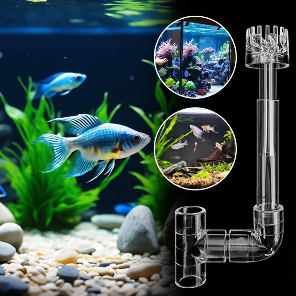 Ein- und Ausflussfilter für Aq – Aquarium Planted Tank Filter Bewertung und Preis