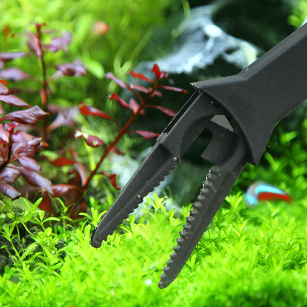 Aquarium-Pflanzenzange aus Kun – Planted Clip Tweezers Bewertung und Preis