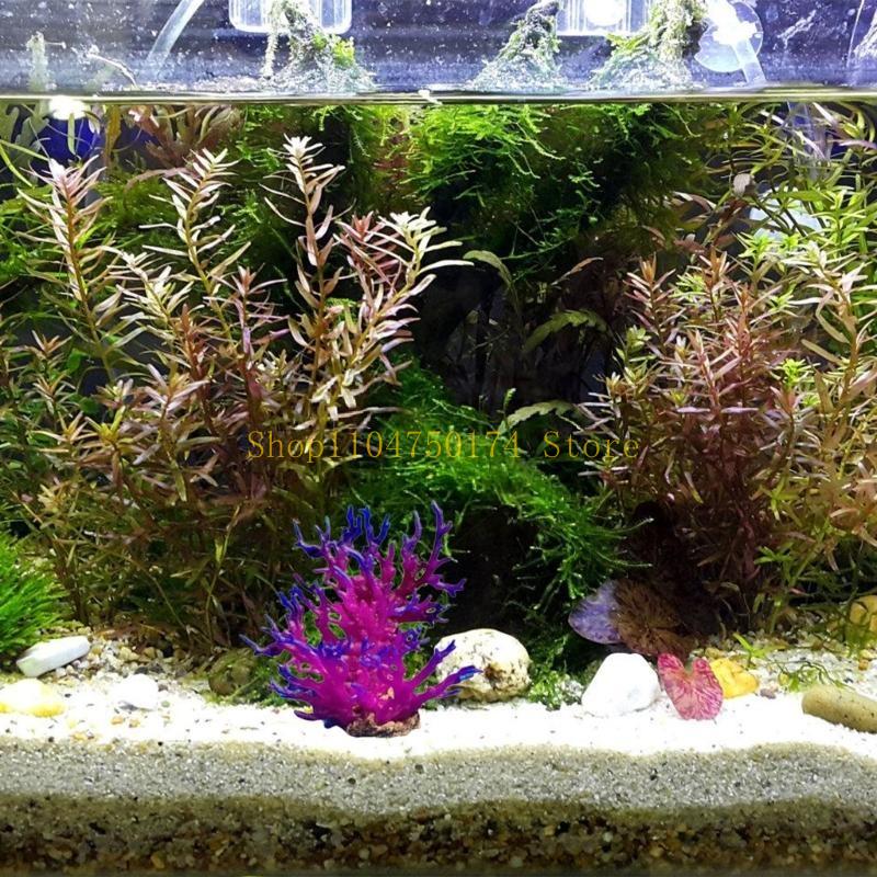 Künstlicher Baum, dekorative P – Aquarium Plants For Sale Bewertung und Preis