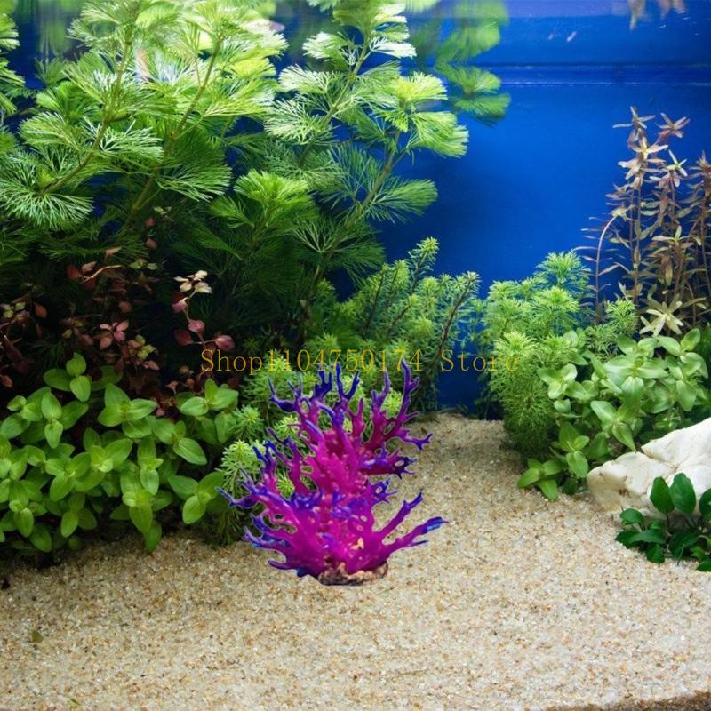 Künstlicher Baum, dekorative P – Aquarium Plants For Sale Bewertung und Preis